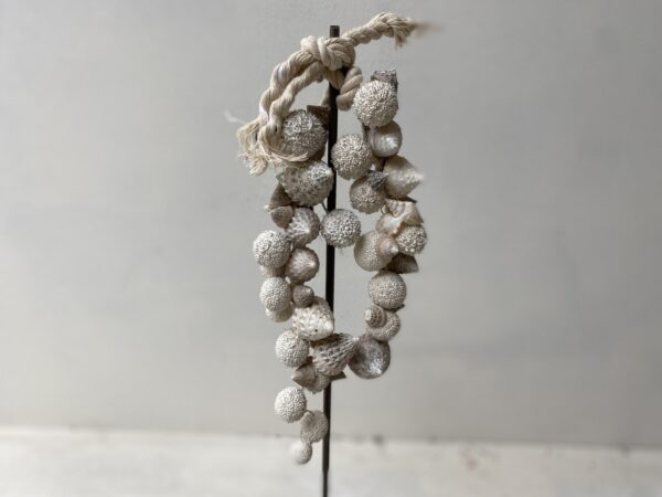 Schelpenketting - Afbeelding 3