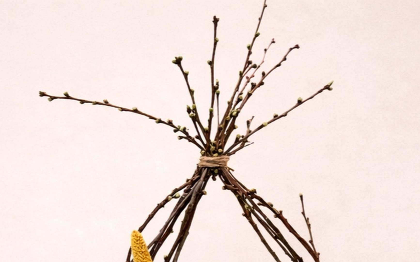 Bloesem - Afbeelding 4